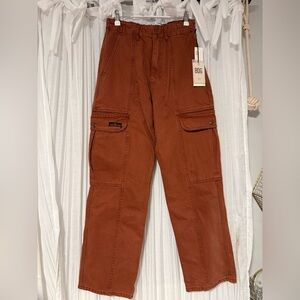 Urban Outfitters BDG Burnt Orange Cargo Pants